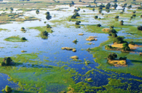 Bild: Okavango - Naturreise 