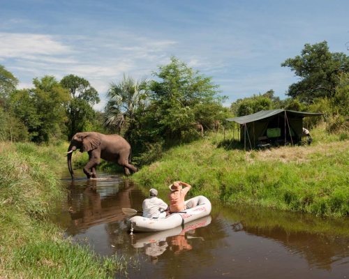 Fluss-Safaris mit Elefanten - Simbabwe