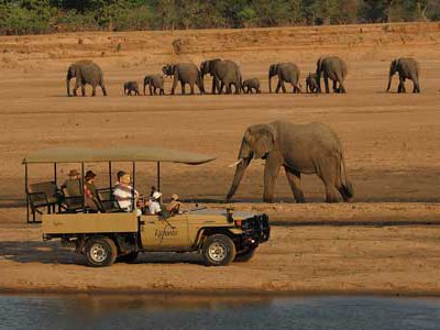 Elefanten beobachten im offen Jeep der Kafunta River Lodge