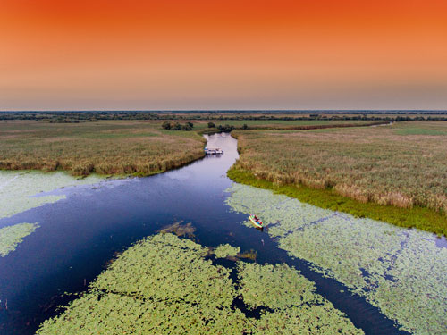 Naturfotografie im rumänischen Delta