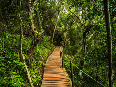 Tsitsikamma-Nationalpark