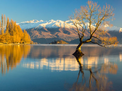 Lake Wanaka mit Bruchweide in Neuseeland