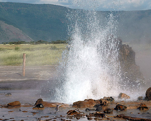 Geysir im Bogoria - (c) Dr. J. Trauttmansdorff