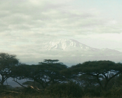 Kilimanjaro vom Amboseli (c) Elvira Wolfer