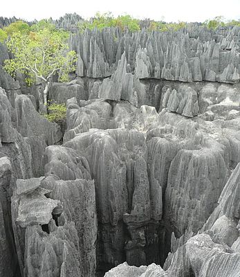 Tsingys von Bemaraha