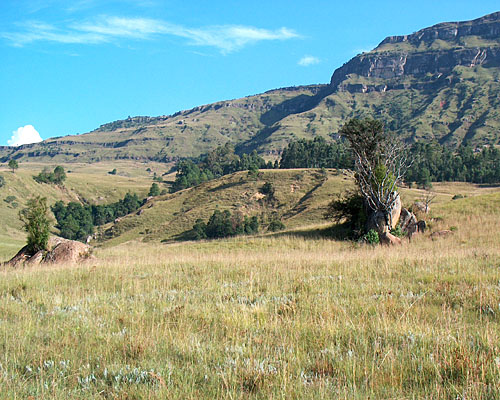 Drakensberge (c) Dieter Müller