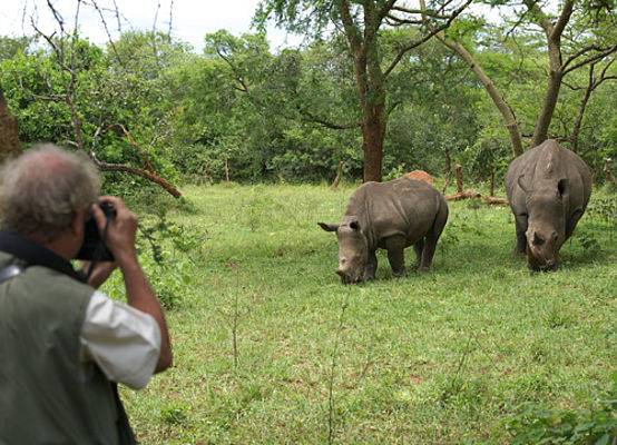 Rhino Sanctuary (c) Dominique Schreckling