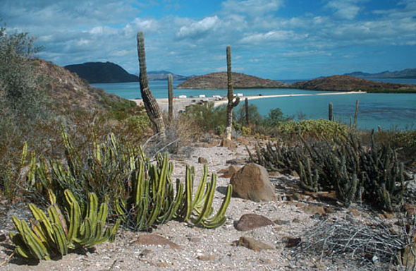 Bahia Conception (c) W. Bittmann
