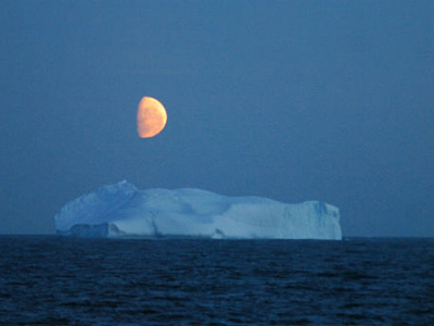 Eisberg in der Antarktis – Auf Erlebnis-Kreuzfahrt ganz nah