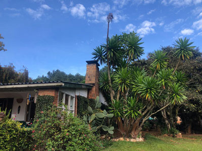 Luwawa-Forest-Lodge in Malawi